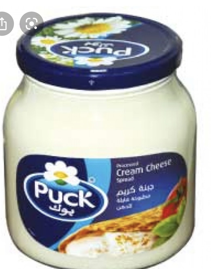 Puck500x6